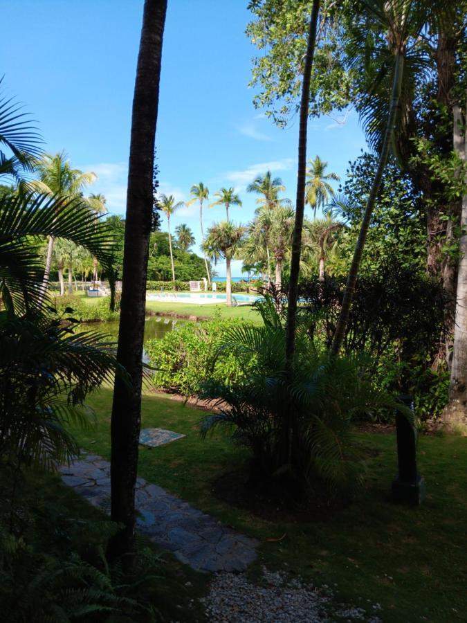 Newly Renovated Seaside Oasis At Bonita Village Las Terrenas Buitenkant foto