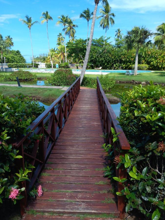 Newly Renovated Seaside Oasis At Bonita Village Las Terrenas Buitenkant foto