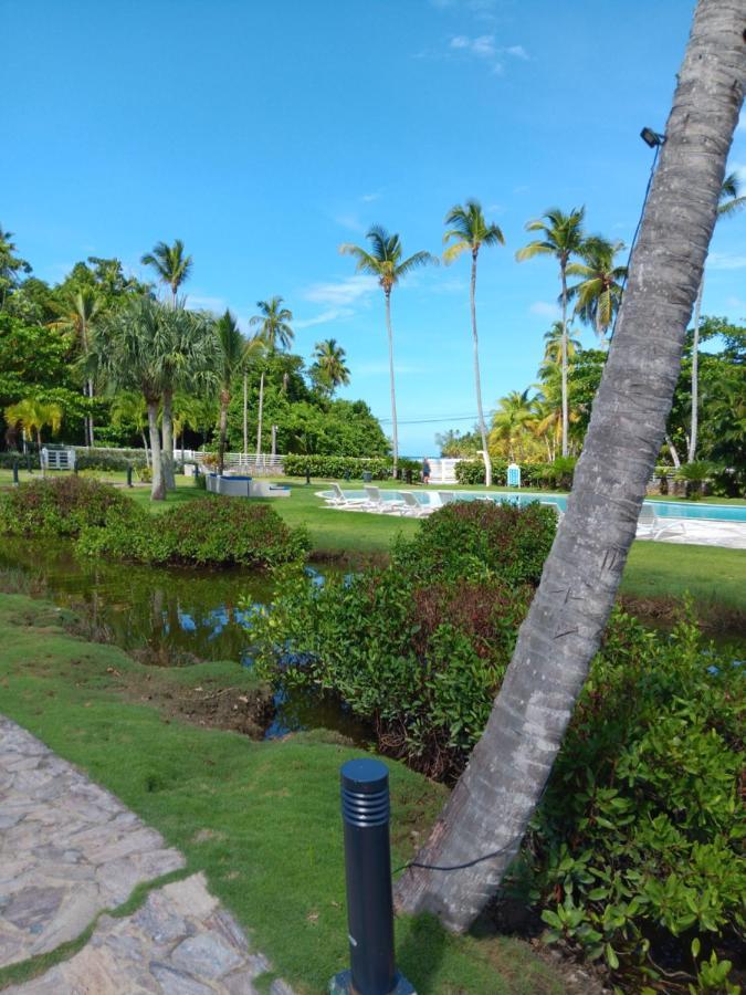 Newly Renovated Seaside Oasis At Bonita Village Las Terrenas Buitenkant foto