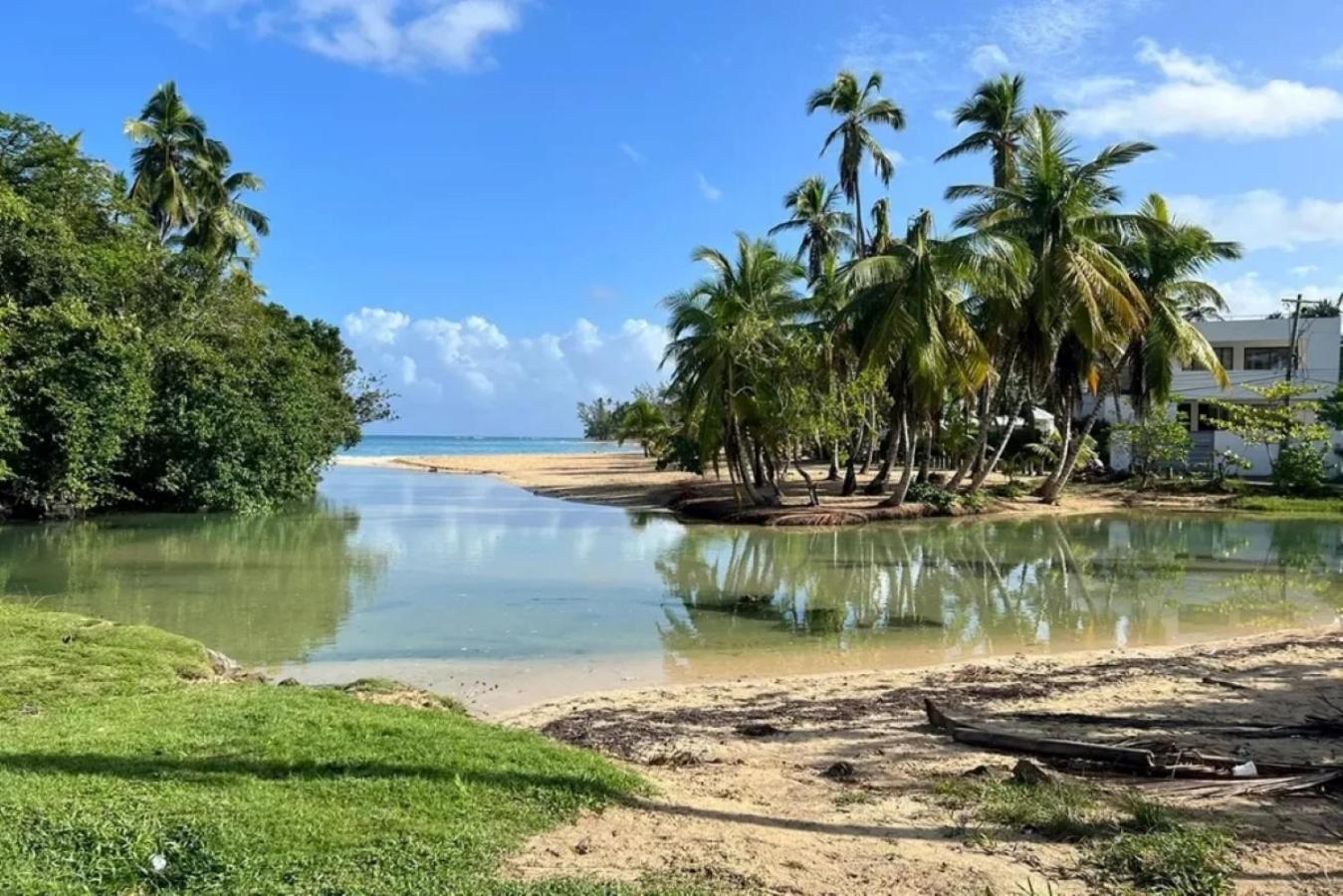 Newly Renovated Seaside Oasis At Bonita Village Las Terrenas Buitenkant foto